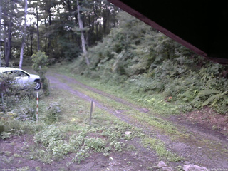 長野県菅平高原 ゆたか山荘 東側(坂下) 2025/08/16 05:30