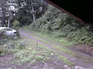 長野県菅平高原 ゆたか山荘 東側(坂下) 2025/08/16 05:45