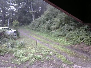 長野県菅平高原 ゆたか山荘 東側(坂下) 2025/08/16 06:15