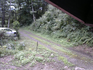 長野県菅平高原 ゆたか山荘 東側(坂下) 2025/08/16 07:45