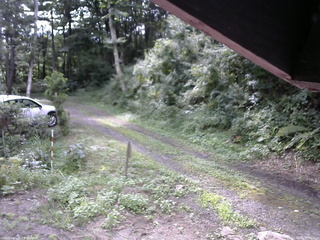 長野県菅平高原 ゆたか山荘 東側(坂下) 2025/08/16 08:15