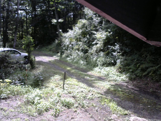 長野県菅平高原 ゆたか山荘 東側(坂下) 2025/08/16 08:45