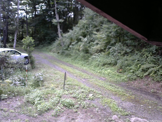 長野県菅平高原 ゆたか山荘 東側(坂下) 2025/08/16 09:00