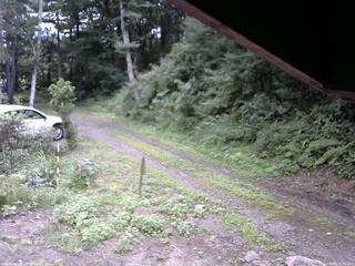 長野県菅平高原 ゆたか山荘 東側(坂下) 2025/08/16 10:00