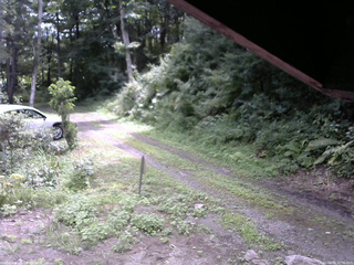 長野県菅平高原 ゆたか山荘 東側(坂下) 2025/08/16 10:30