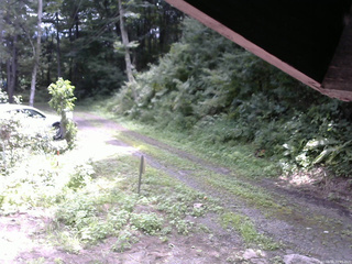 長野県菅平高原 ゆたか山荘 東側(坂下) 2025/08/16 10:45