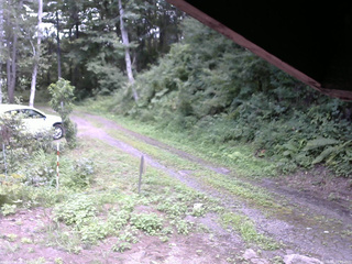 長野県菅平高原 ゆたか山荘 東側(坂下) 2025/08/16 14:00