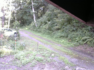 長野県菅平高原 ゆたか山荘 東側(坂下) 2025/08/16 15:15