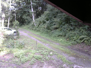 長野県菅平高原 ゆたか山荘 東側(坂下) 2025/08/16 16:00