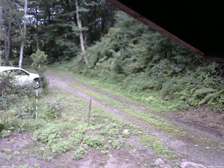 長野県菅平高原 ゆたか山荘 東側(坂下) 2025/08/16 16:30