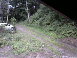 長野県菅平高原 ゆたか山荘 東側(坂下) 2025/08/16 17:30