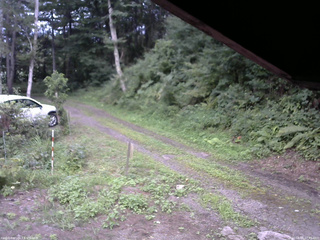 長野県菅平高原 ゆたか山荘 東側(坂下) 2025/08/16 17:45