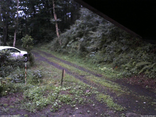 長野県菅平高原 ゆたか山荘 東側(坂下) 2025/08/16 18:30