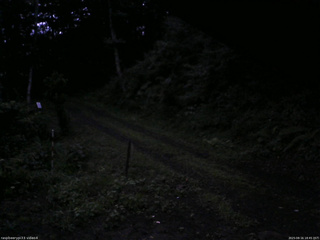 長野県菅平高原 ゆたか山荘 東側(坂下) 2025/08/16 18:45