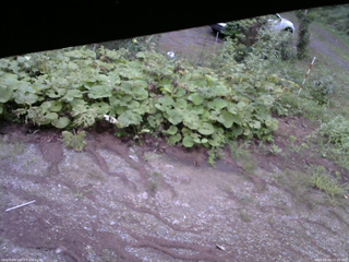 長野県菅平高原 ゆたか山荘 駐車場 2025/08/16 05:00