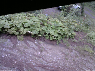 長野県菅平高原 ゆたか山荘 駐車場 2025/08/16 05:15