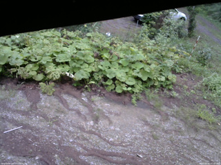 長野県菅平高原 ゆたか山荘 駐車場 2025/08/16 05:45