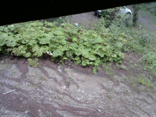 長野県菅平高原 ゆたか山荘 駐車場 2025/08/16 06:00