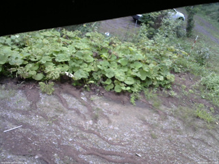 長野県菅平高原 ゆたか山荘 駐車場 2025/08/16 06:15