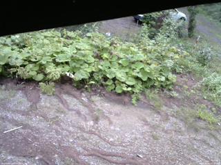 長野県菅平高原 ゆたか山荘 駐車場 2025/08/16 06:30