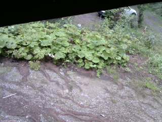 長野県菅平高原 ゆたか山荘 駐車場 2025/08/16 06:45