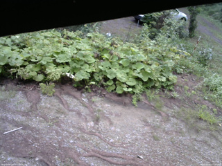 長野県菅平高原 ゆたか山荘 駐車場 2025/08/16 07:00
