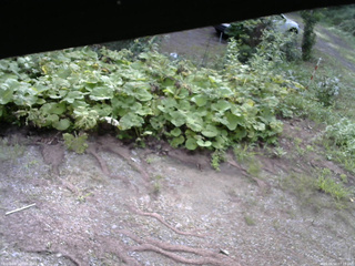 長野県菅平高原 ゆたか山荘 駐車場 2025/08/16 07:15