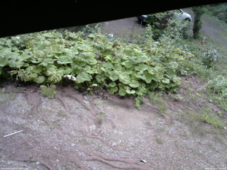 長野県菅平高原 ゆたか山荘 駐車場 2025/08/16 07:30