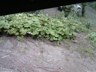 長野県菅平高原 ゆたか山荘 駐車場 2025/08/16 07:45