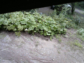 長野県菅平高原 ゆたか山荘 駐車場 2025/08/16 08:30