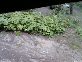 長野県菅平高原 ゆたか山荘 駐車場 2025/08/16 09:00