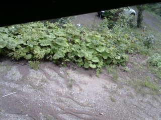 長野県菅平高原 ゆたか山荘 駐車場 2025/08/16 11:15
