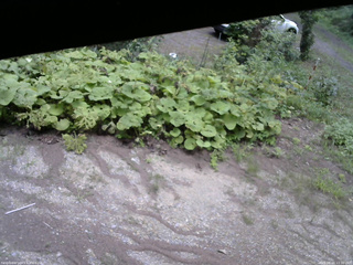 長野県菅平高原 ゆたか山荘 駐車場 2025/08/16 11:30