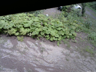 長野県菅平高原 ゆたか山荘 駐車場 2025/08/16 13:15