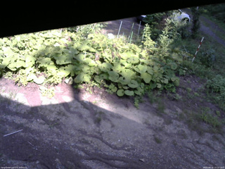 長野県菅平高原 ゆたか山荘 駐車場 2025/08/16 15:15