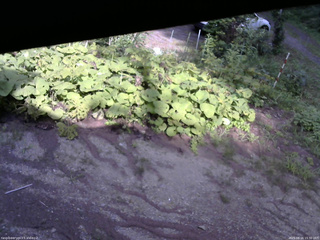 長野県菅平高原 ゆたか山荘 駐車場 2025/08/16 15:30