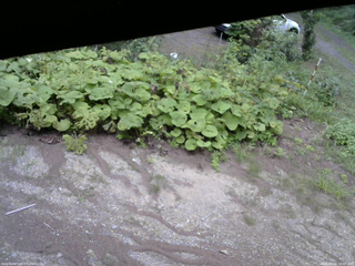 長野県菅平高原 ゆたか山荘 駐車場 2025/08/16 16:45
