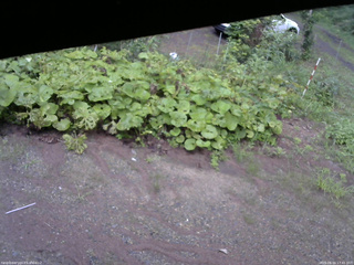 長野県菅平高原 ゆたか山荘 駐車場 2025/08/16 17:45