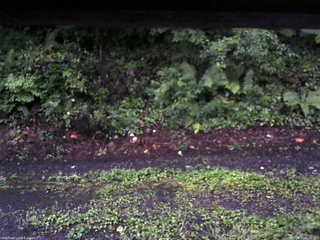 長野県菅平高原 ゆたか山荘 南側 2025/08/17 05:00