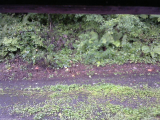 長野県菅平高原 ゆたか山荘 南側 2025/08/17 05:45