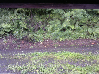 長野県菅平高原 ゆたか山荘 南側 2025/08/17 06:00