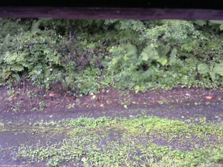 長野県菅平高原 ゆたか山荘 南側 2025/08/17 06:15