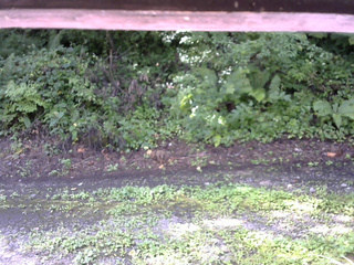 長野県菅平高原 ゆたか山荘 南側 2025/08/17 09:00