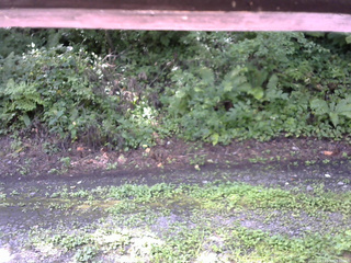 長野県菅平高原 ゆたか山荘 南側 2025/08/17 09:30