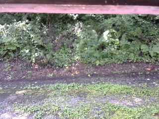 長野県菅平高原 ゆたか山荘 南側 2025/08/17 09:45