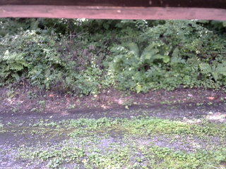 長野県菅平高原 ゆたか山荘 南側 2025/08/17 10:00