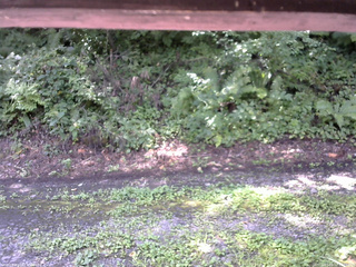 長野県菅平高原 ゆたか山荘 南側 2025/08/17 10:15