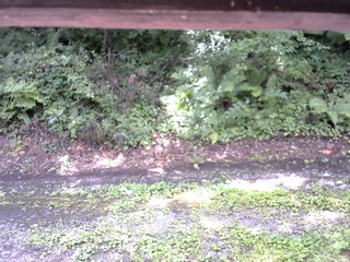 長野県菅平高原 ゆたか山荘 南側 2025/08/17 10:30