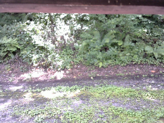 長野県菅平高原 ゆたか山荘 南側 2025/08/17 11:00