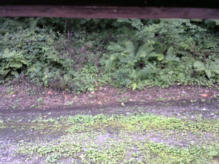 長野県菅平高原 ゆたか山荘 南側 2025/08/17 11:15